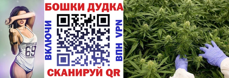 Бошки Шишки ГИДРОПОН  Аргун 